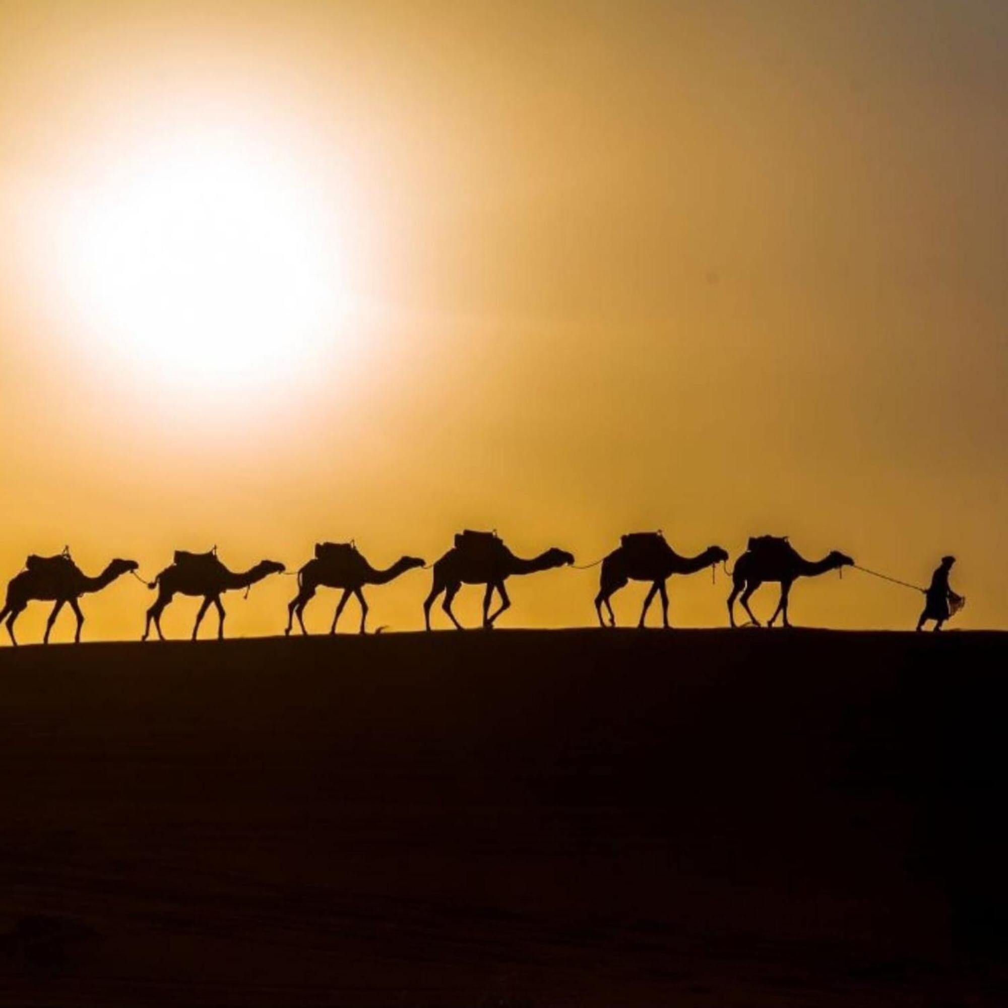 Unique Sahara Camp Hotel Merzouga Buitenkant foto