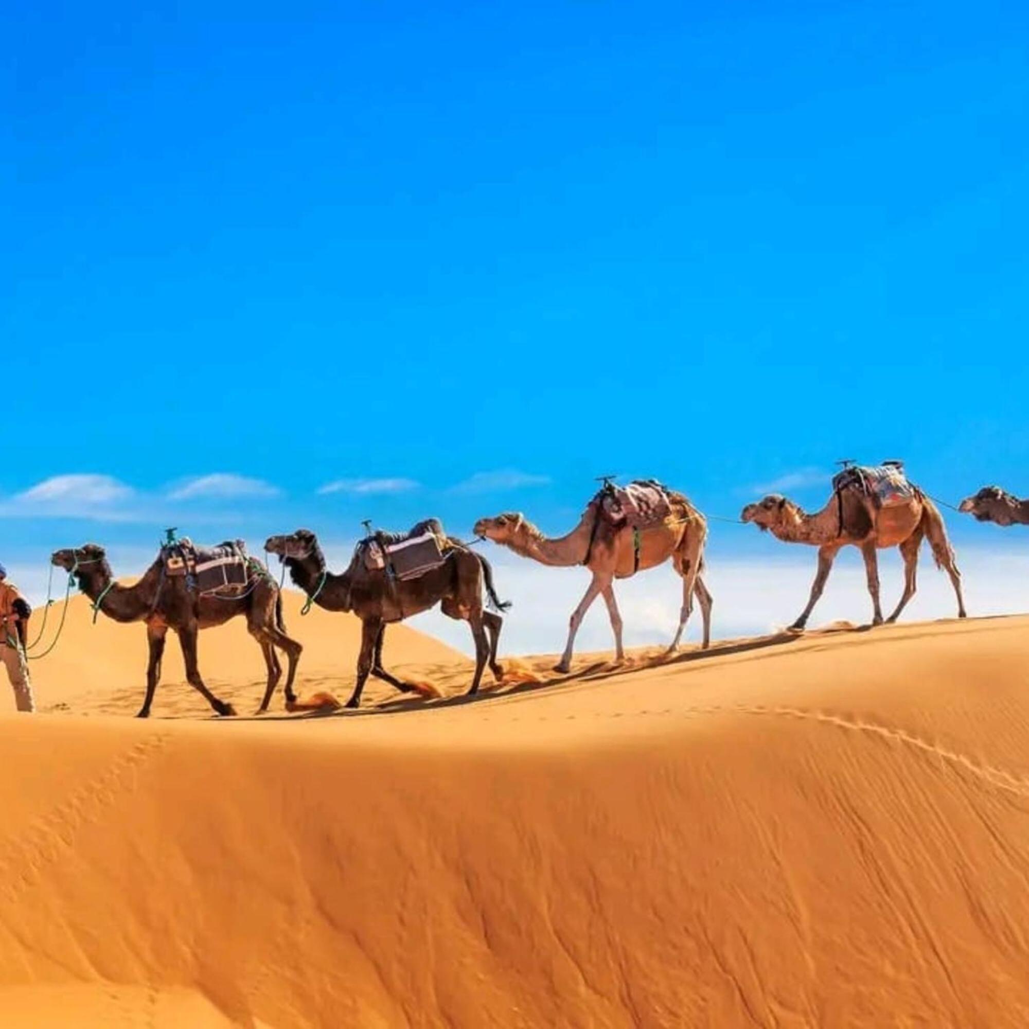 Unique Sahara Camp Hotel Merzouga Buitenkant foto